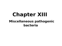Chapter XIII Miscellaneous pathogenic bacteria.ppt